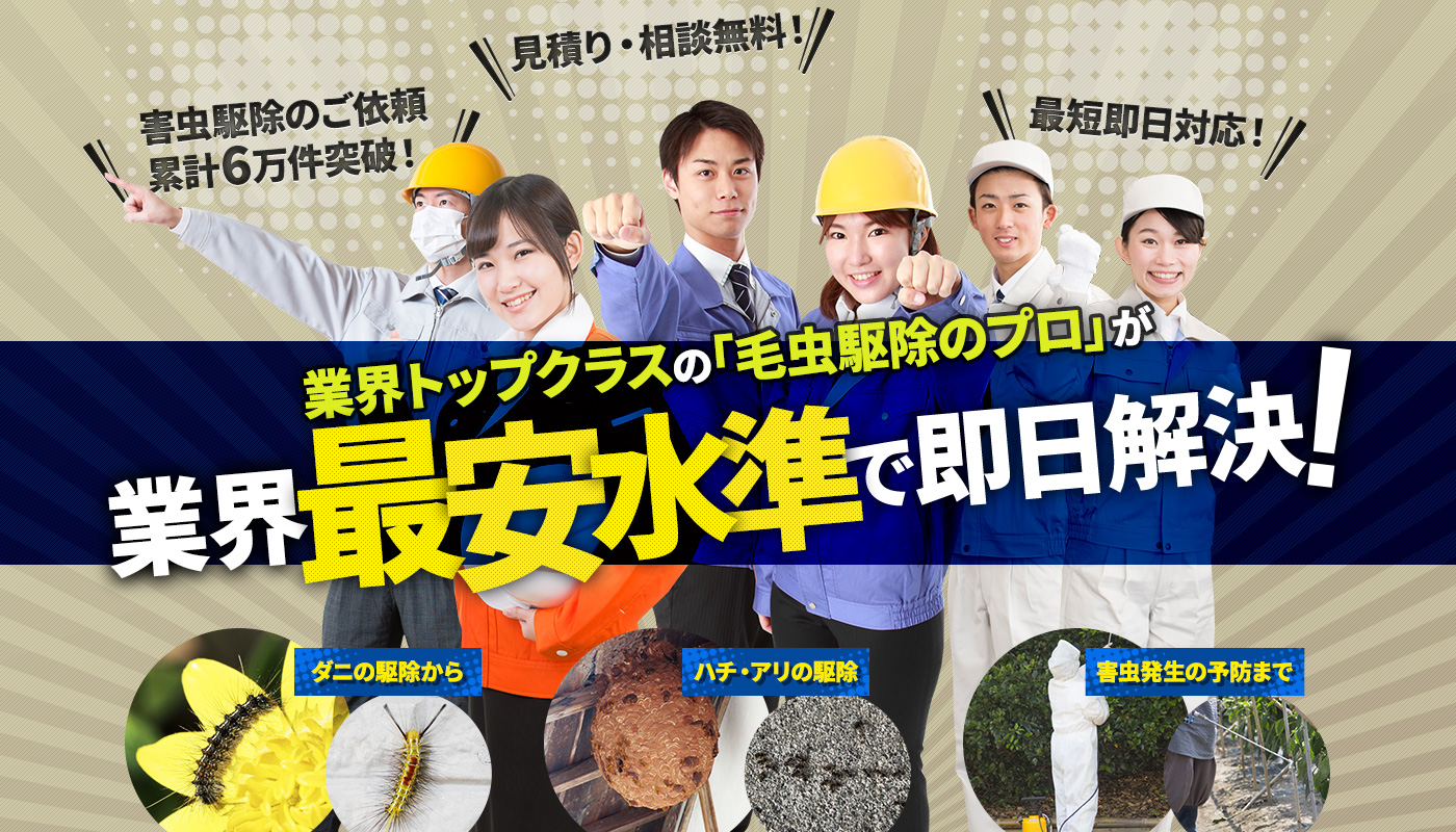 業界トップクラスの毛虫駆除のプロが業界最安水準で即日解決！ゴキブリの駆除から、ハチ・アリの駆除、害虫発生の予防まで