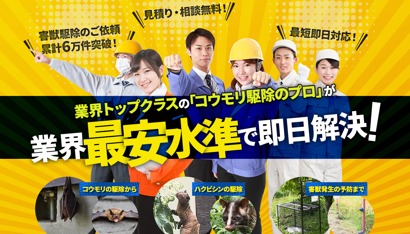 業界トップクラスの「コウモリのプロ」が業界最安水準で即日解決！ ねずみの駆除から ハクビシンの駆除 害獣発生の予防まで