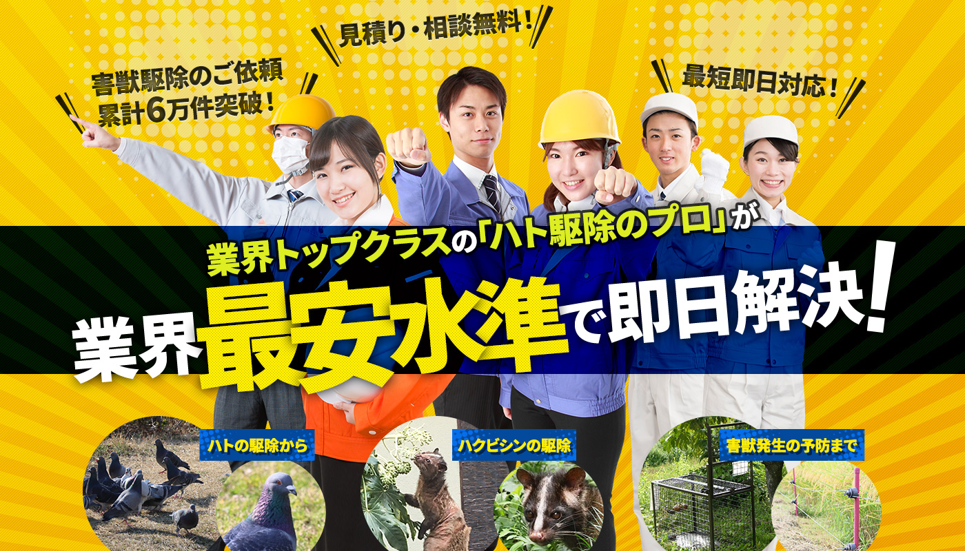 業界トップクラスの「ハトのプロ」が業界最安水準で即日解決！ ねずみの駆除から ハクビシンの駆除 害獣発生の予防まで